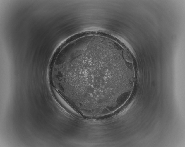 X0000111200783200907081241