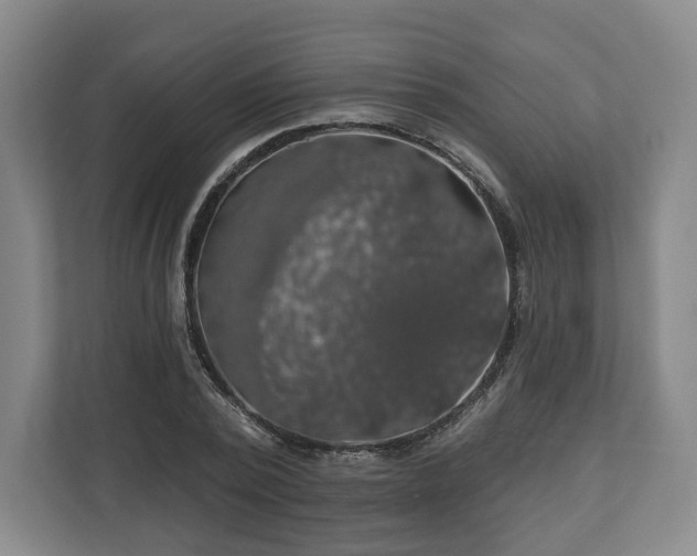 X0000111200784200907081241