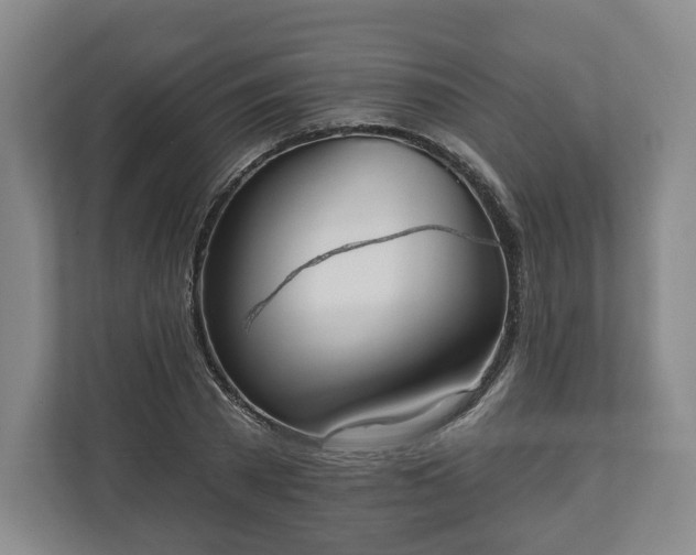 X0000111200785200907081241