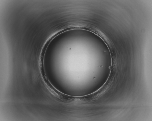 X0000111200787200907081241