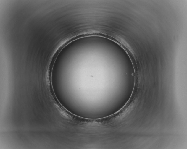 X0000111200789200907081241