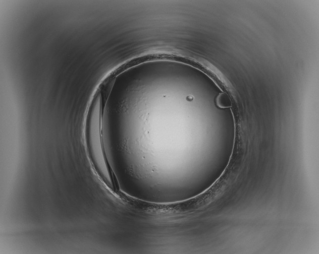 X0000111200791200907081241