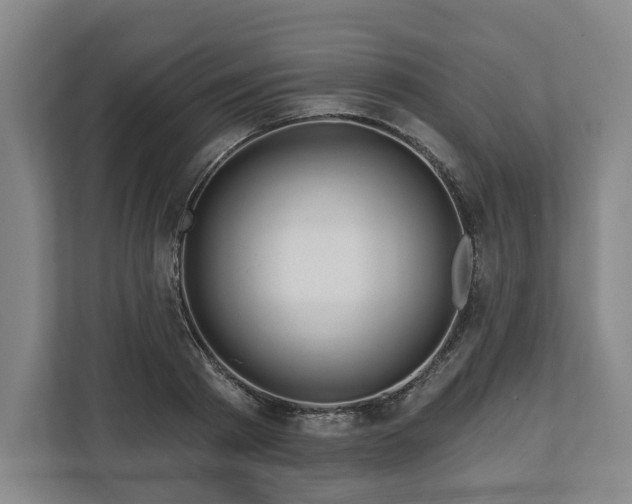 X0000111200793200907081241