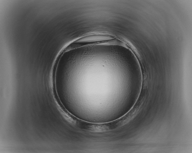 X0000111200795200907081241