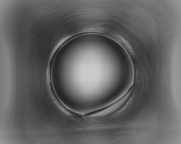 X0000111200796200907081241