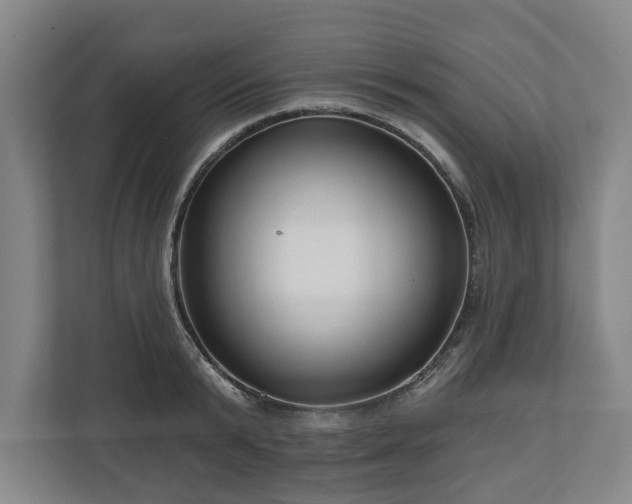 X0000111200799200907081241