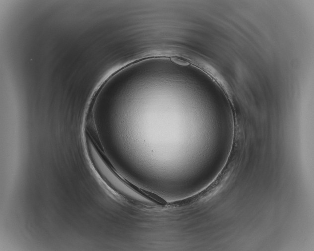 X0000111200803200907081240