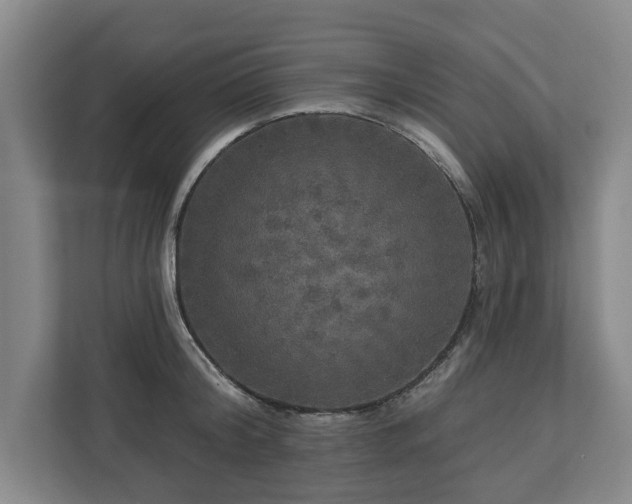 X0000111200804200907081240