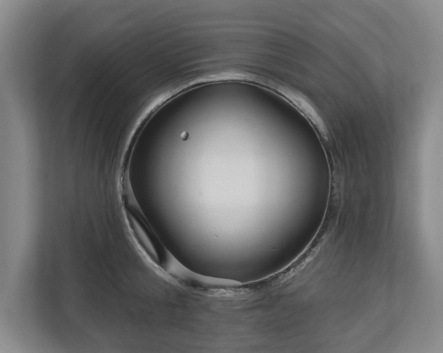 X0000111200805200907081240