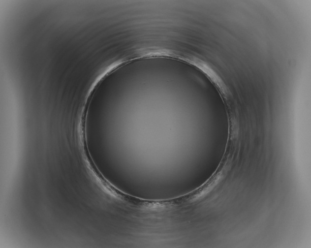 X0000111200806200907081240