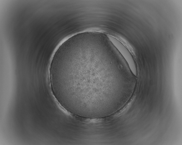 X0000111200808200907081240