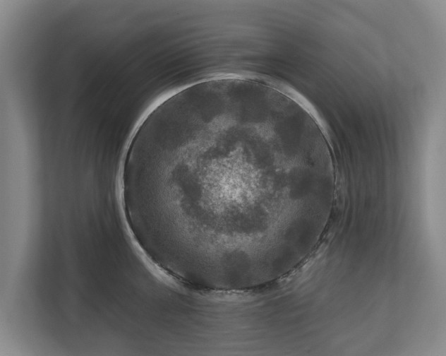 X0000111200811200907081240