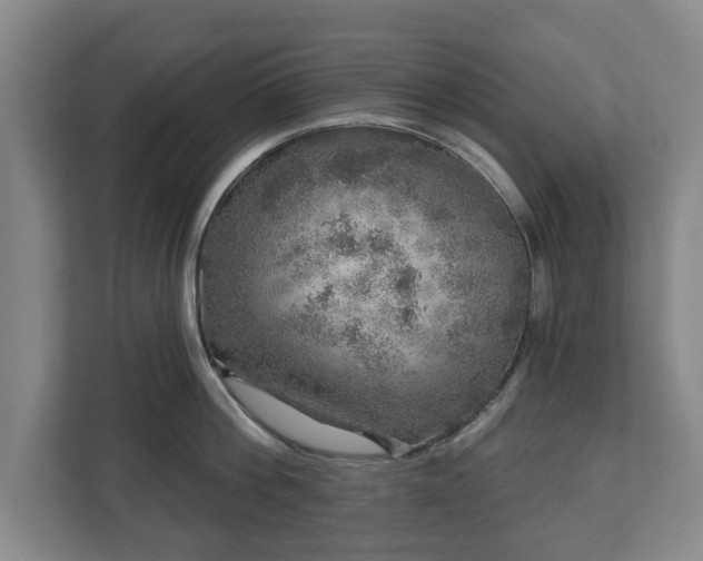 X0000111200812200907081240