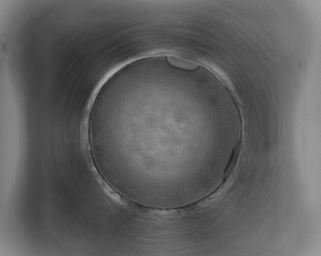 X0000111200816200907081240