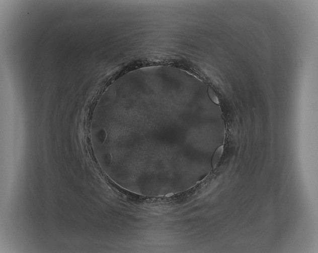 X0000111200817200907081240