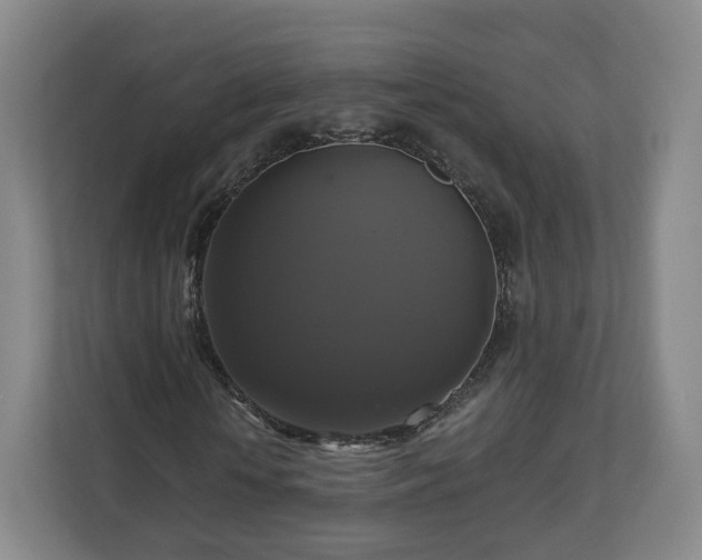 X0000111200818200907081240