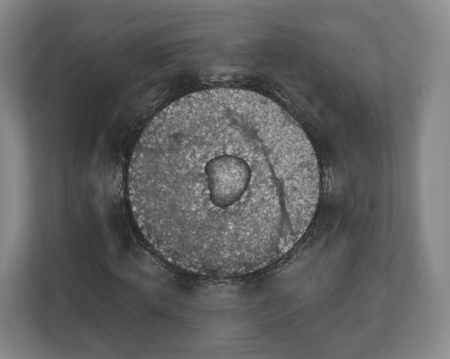 X0000111200820200907081240