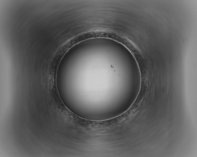 X0000111200821200907081240