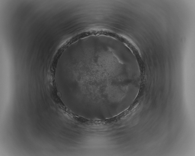 X0000111200823200907081240