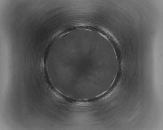 X0000111200825200907081240