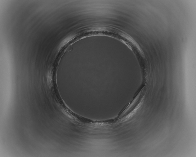 X0000111200826200907081240