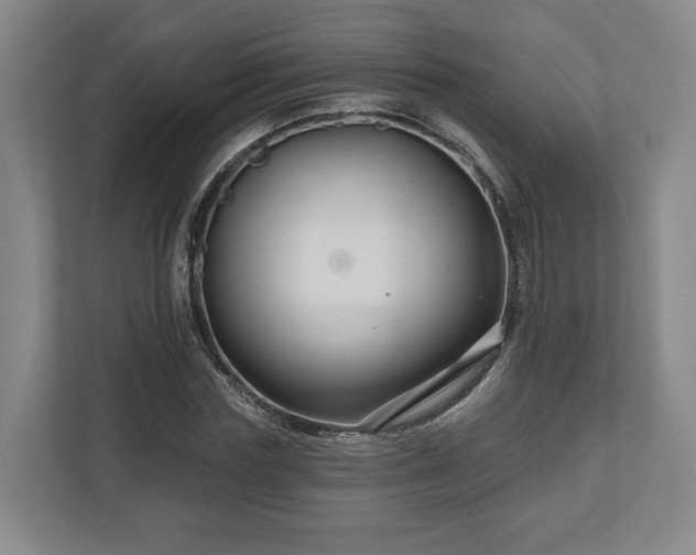 X0000111200827200907081240