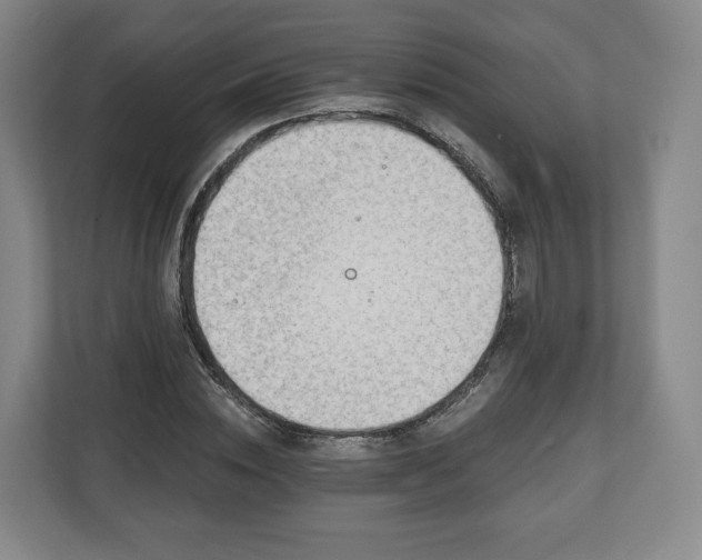 X0000111200828200907081240