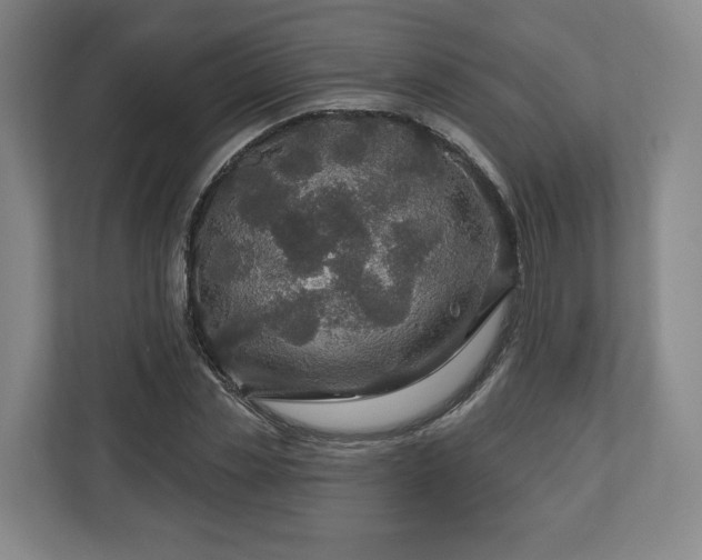 X0000111200829200907081240