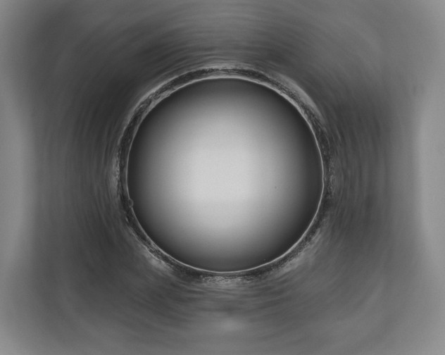 X0000111200831200907081240