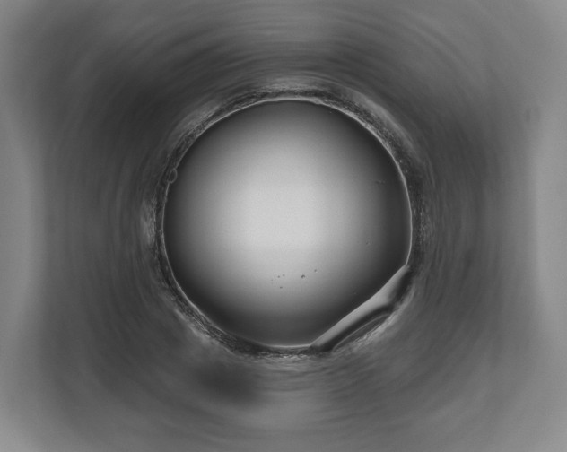 X0000111200833200907081240