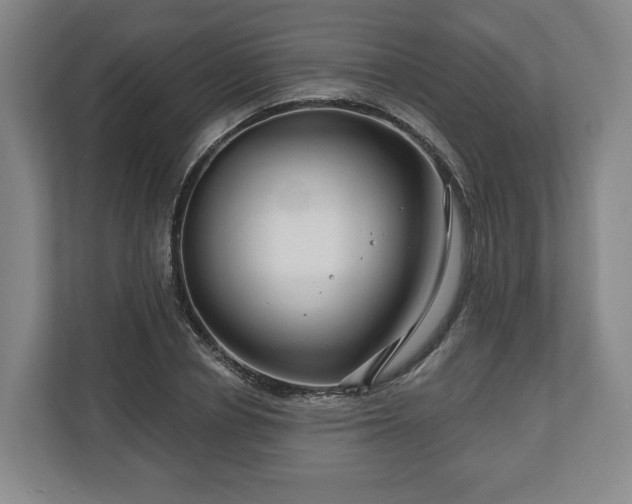 X0000111200834200907081240