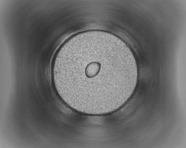 X0000111200836200907081240