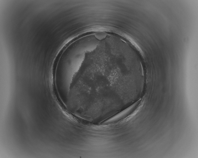 X0000111200837200907081240