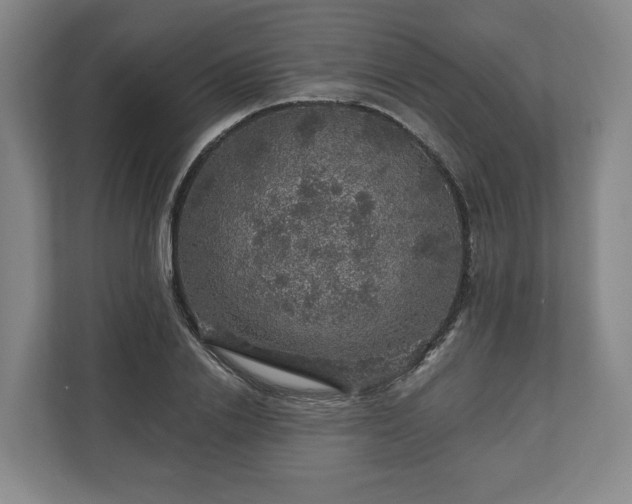 X0000111200838200907081240