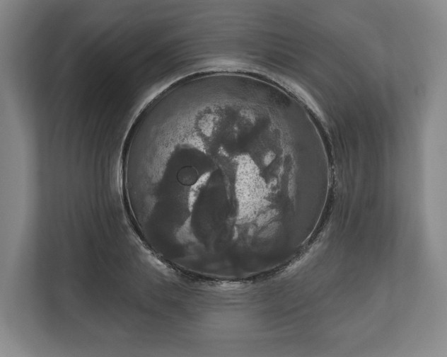 X0000111200839200907081240