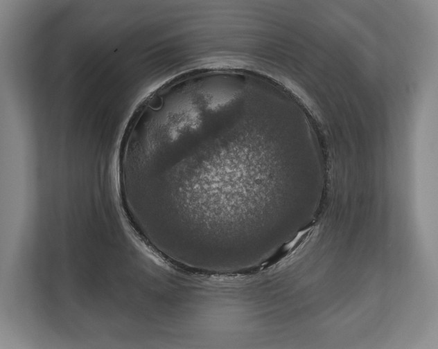 X0000111200840200907081240