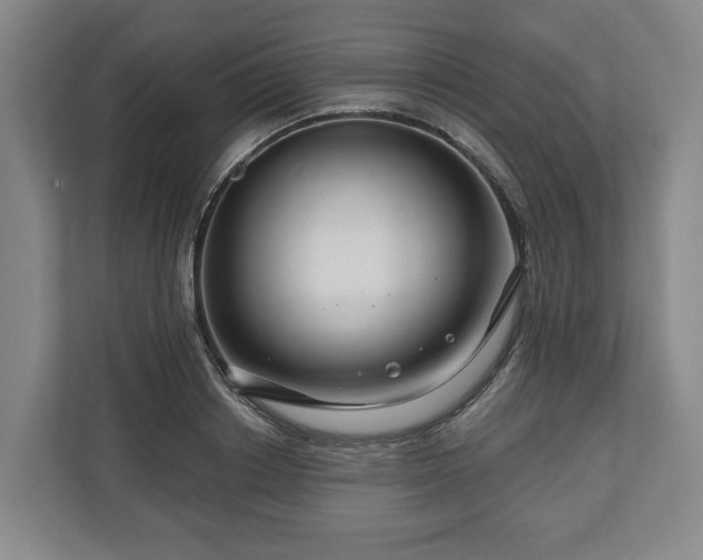 X0000111200842200907081240