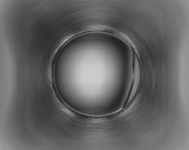 X0000111200843200907081240