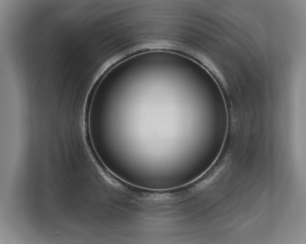 X0000111200845200907081240