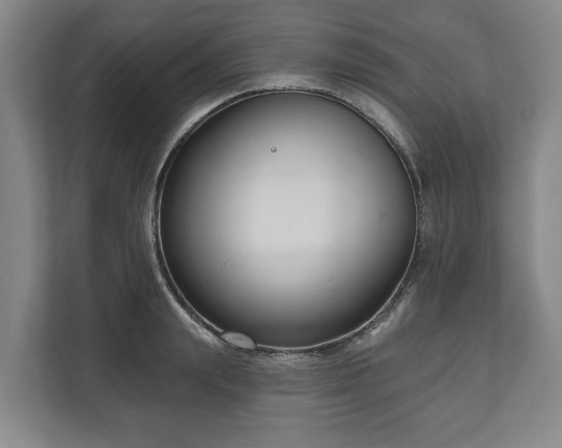 X0000111200847200907081240