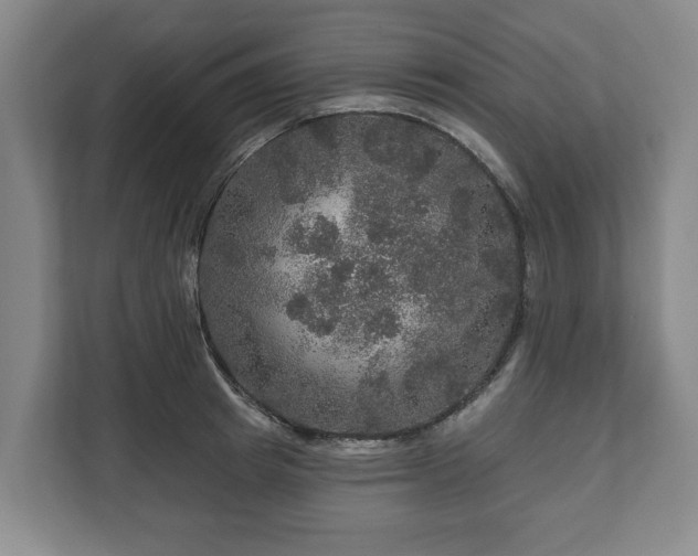 X0000111200849200907081240