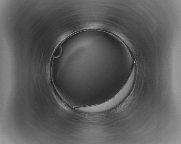 X0000111200850200907081240