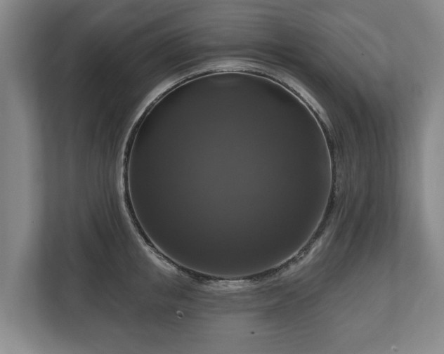 X0000111200853200907081240