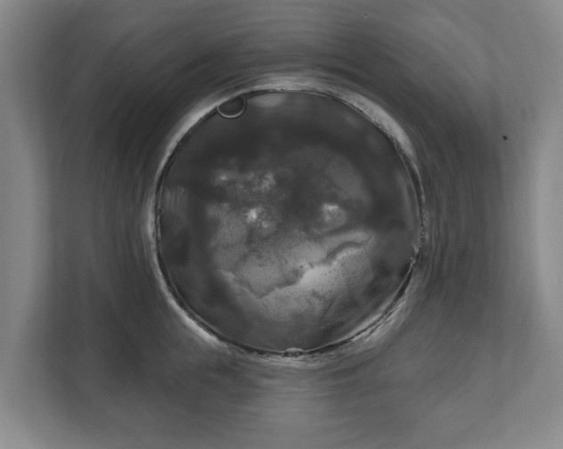 X0000111200855200907081240