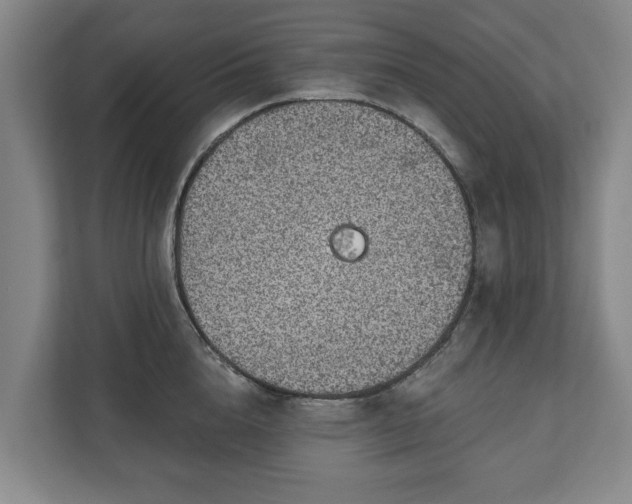 X0000111200856200907081240