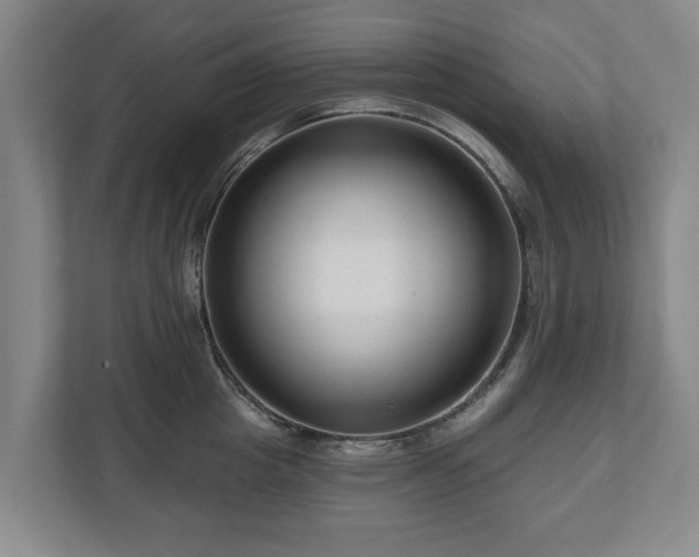 X0000111200857200907081240