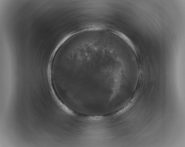 X0000111200859200907081240