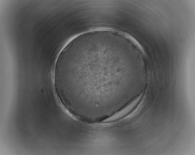 X0000111200860200907081240