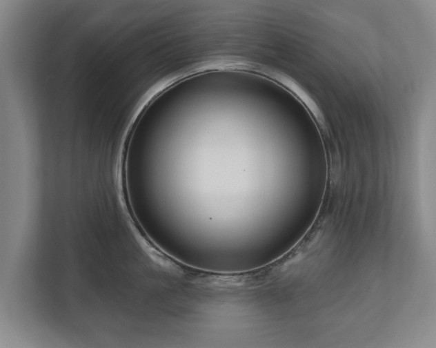 X0000111200861200907081240