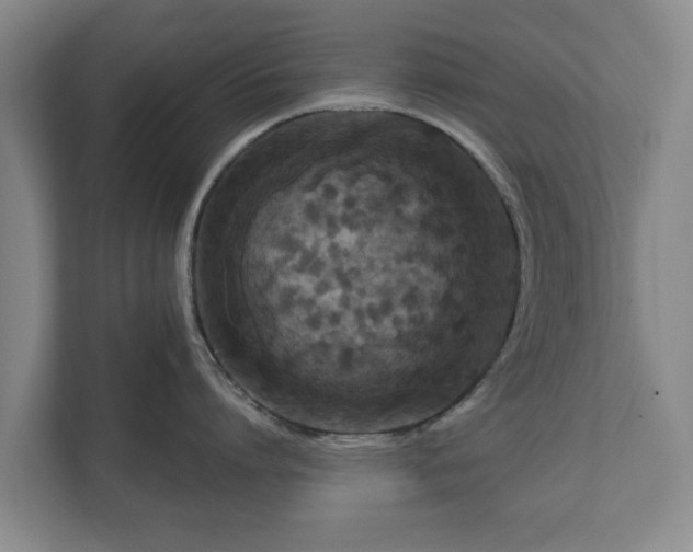 X0000111200864200907081240